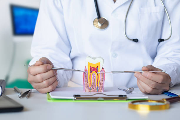 Best Emergency Dental Care for Broken or Chipped Teeth in Beltsville, MD